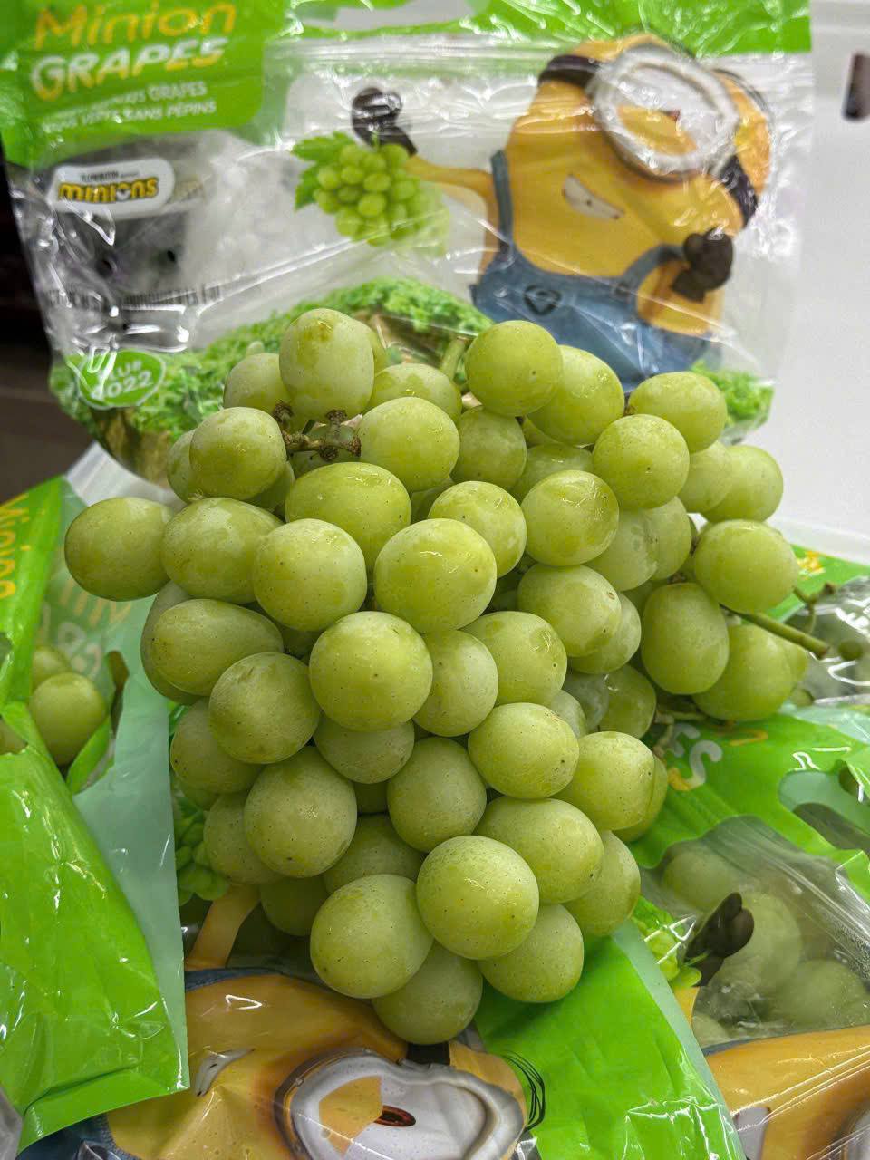 Nho Mỹ Minion
